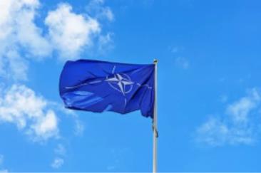 Cesa e la Nato, Cassese e Mentana a San Macuto, Bruti Liberati alla Fondazione Basso, Salvini e l’auto
